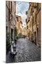 Dolce Vita Rome Collection - Scooter in street-Philippe Hugonnard-Mounted Premium Photographic Print