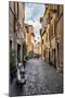 Dolce Vita Rome Collection - Scooter in street-Philippe Hugonnard-Mounted Premium Photographic Print