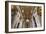 Dolce Vita Rome Collection - St. Peter Basilica-Philippe Hugonnard-Framed Photographic Print