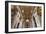 Dolce Vita Rome Collection - St. Peter Basilica-Philippe Hugonnard-Framed Premium Photographic Print