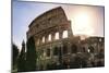 Dolce Vita Rome Collection - The Colosseum at Sunrise-Philippe Hugonnard-Mounted Photographic Print