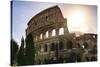 Dolce Vita Rome Collection - The Colosseum at Sunrise-Philippe Hugonnard-Stretched Canvas