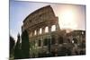 Dolce Vita Rome Collection - The Colosseum at Sunrise-Philippe Hugonnard-Mounted Photographic Print