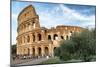 Dolce Vita Rome Collection - The Colosseum at Sunset-Philippe Hugonnard-Mounted Photographic Print