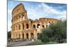 Dolce Vita Rome Collection - The Colosseum at Sunset-Philippe Hugonnard-Mounted Photographic Print
