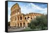 Dolce Vita Rome Collection - The Colosseum at Sunset-Philippe Hugonnard-Framed Stretched Canvas