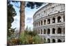 Dolce Vita Rome Collection - The Colosseum II-Philippe Hugonnard-Mounted Photographic Print
