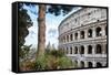 Dolce Vita Rome Collection - The Colosseum II-Philippe Hugonnard-Framed Stretched Canvas