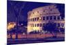 Dolce Vita Rome Collection - The Colosseum Night-Philippe Hugonnard-Mounted Photographic Print