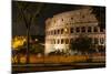 Dolce Vita Rome Collection - The Colosseum Orange Night-Philippe Hugonnard-Mounted Photographic Print