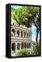 Dolce Vita Rome Collection - The Colosseum Rome III-Philippe Hugonnard-Framed Stretched Canvas