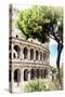Dolce Vita Rome Collection - The Colosseum Rome IV-Philippe Hugonnard-Stretched Canvas