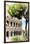 Dolce Vita Rome Collection - The Colosseum Rome IV-Philippe Hugonnard-Framed Photographic Print