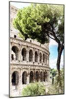 Dolce Vita Rome Collection - The Colosseum Rome IV-Philippe Hugonnard-Mounted Photographic Print