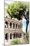 Dolce Vita Rome Collection - The Colosseum Rome IV-Philippe Hugonnard-Mounted Photographic Print