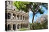 Dolce Vita Rome Collection - The Colosseum Rome V-Philippe Hugonnard-Stretched Canvas