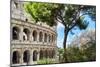 Dolce Vita Rome Collection - The Colosseum Rome V-Philippe Hugonnard-Mounted Photographic Print