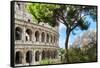 Dolce Vita Rome Collection - The Colosseum Rome V-Philippe Hugonnard-Framed Stretched Canvas