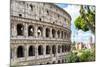 Dolce Vita Rome Collection - The Colosseum Rome VI-Philippe Hugonnard-Mounted Photographic Print