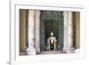 Dolce Vita Rome Collection - The Swiss Guard of Vatican City-Philippe Hugonnard-Framed Photographic Print