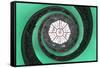 Dolce Vita Rome Collection - The Vatican Spiral Staircase Green-Philippe Hugonnard-Framed Stretched Canvas