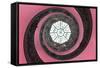 Dolce Vita Rome Collection - The Vatican Spiral Staircase Hot Pink-Philippe Hugonnard-Framed Stretched Canvas