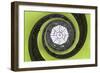 Dolce Vita Rome Collection - The Vatican Spiral Staircase Lime Green-Philippe Hugonnard-Framed Photographic Print