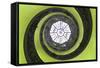 Dolce Vita Rome Collection - The Vatican Spiral Staircase Lime Green-Philippe Hugonnard-Framed Stretched Canvas