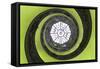 Dolce Vita Rome Collection - The Vatican Spiral Staircase Lime Green-Philippe Hugonnard-Framed Stretched Canvas