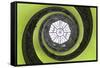 Dolce Vita Rome Collection - The Vatican Spiral Staircase Lime Green-Philippe Hugonnard-Framed Stretched Canvas