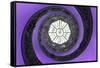 Dolce Vita Rome Collection - The Vatican Spiral Staircase Purple-Philippe Hugonnard-Framed Stretched Canvas