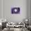 Dolce Vita Rome Collection - The Vatican Spiral Staircase Purple-Philippe Hugonnard-Photographic Print displayed on a wall