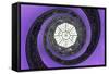 Dolce Vita Rome Collection - The Vatican Spiral Staircase Purple-Philippe Hugonnard-Framed Stretched Canvas