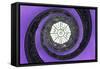 Dolce Vita Rome Collection - The Vatican Spiral Staircase Purple-Philippe Hugonnard-Framed Stretched Canvas