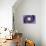 Dolce Vita Rome Collection - The Vatican Spiral Staircase Purple-Philippe Hugonnard-Stretched Canvas displayed on a wall