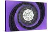 Dolce Vita Rome Collection - The Vatican Spiral Staircase Purple-Philippe Hugonnard-Stretched Canvas
