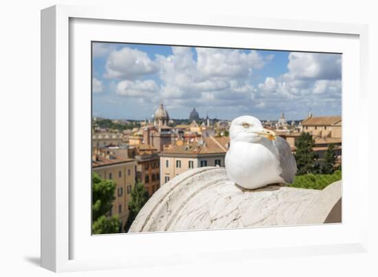 Dolce Vita Rome Collection - View of Seagull-Philippe Hugonnard-Framed Photographic Print