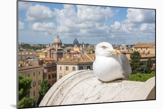 Dolce Vita Rome Collection - View of Seagull-Philippe Hugonnard-Mounted Photographic Print