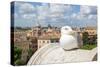 Dolce Vita Rome Collection - View of Seagull-Philippe Hugonnard-Stretched Canvas