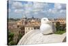 Dolce Vita Rome Collection - View of Seagull-Philippe Hugonnard-Stretched Canvas