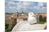 Dolce Vita Rome Collection - View of Seagull-Philippe Hugonnard-Mounted Photographic Print