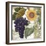 Dolcetto I-Sasha-Framed Giclee Print