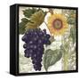 Dolcetto I-Sasha-Framed Stretched Canvas