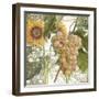 Dolcetto IV-Sasha-Framed Giclee Print