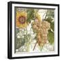 Dolcetto IV-Sasha-Framed Giclee Print