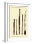 Dolciano, Oboe Da Caccia, Oboe, Basset Horn and Bassoon-null-Framed Art Print