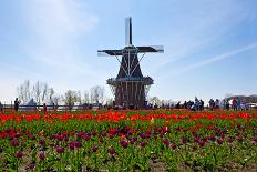 Windmill-Dole-Mounted Photographic Print