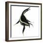 Dolichorhynchops Marine Reptile-Stocktrek Images-Framed Art Print