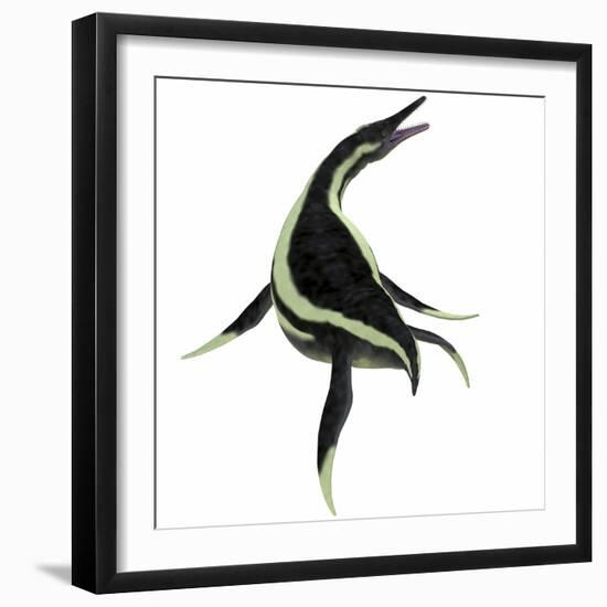 Dolichorhynchops Marine Reptile-Stocktrek Images-Framed Art Print