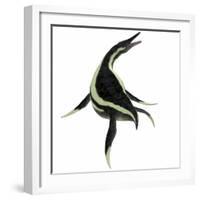 Dolichorhynchops Marine Reptile-Stocktrek Images-Framed Art Print